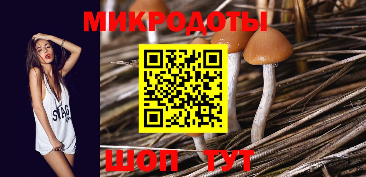 Псилоцибиновые грибы ЛСД  Псилоцибиновые грибы Cubensis  Вход с VPN  Трёхгорный 
