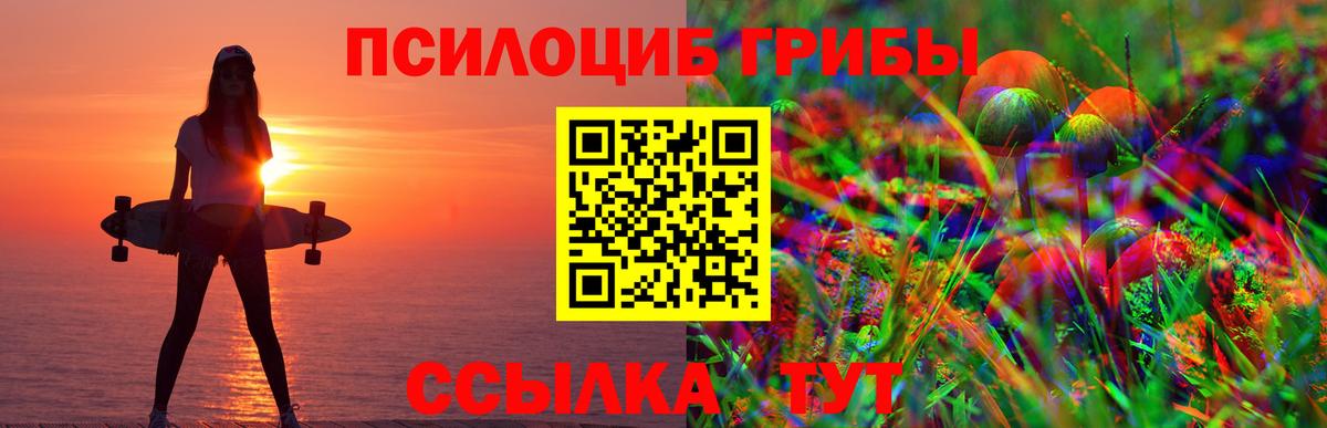 Псилоцибиновые грибы Psilocybe Трёхгорный