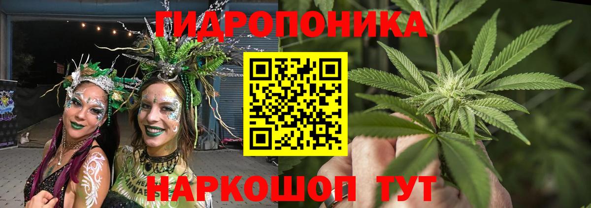 Конопля марихуана Трёхгорный